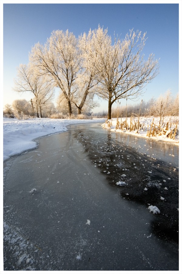 Frozen Creek