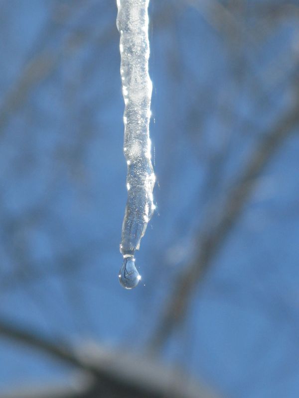 Through Droplets I See