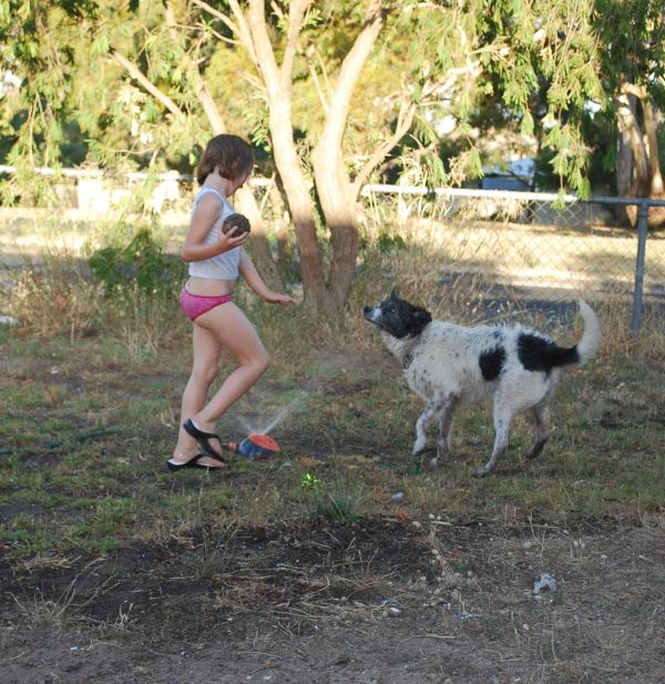 january in australia