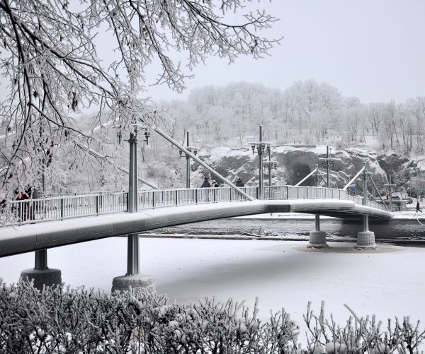 Winter Bridge