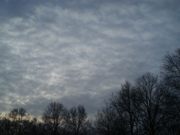 Winter sky over the Holland