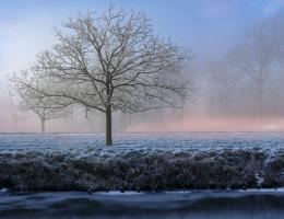 Campagne enneigÃ©e et brumeuse