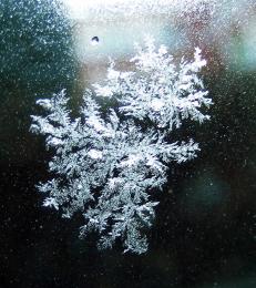 Iceonthewindow