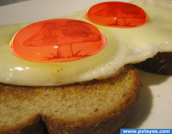 Creation of Jelly, Sunny side up: Final Result