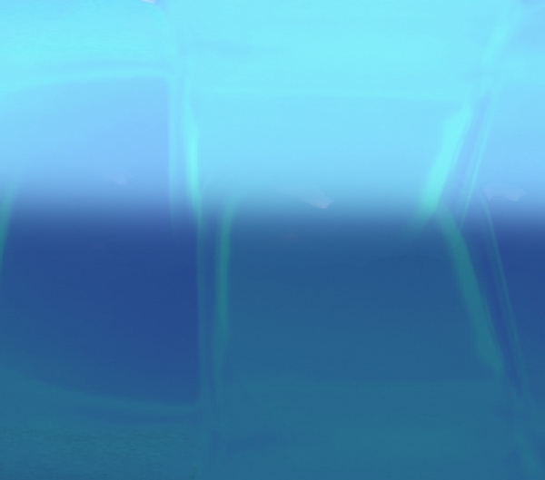 Creation of JellyFish: Step 2