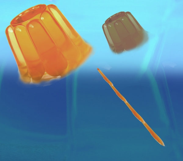 Creation of JellyFish: Step 3