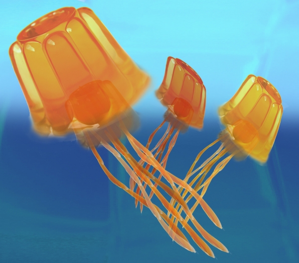 Creation of JellyFish: Step 4