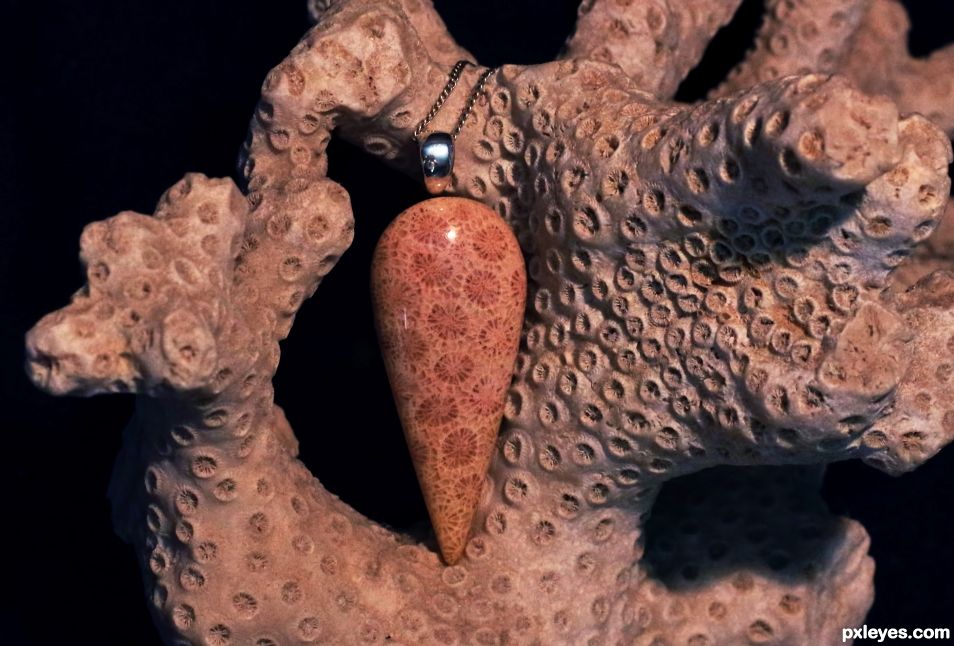 Indonesian Agatized Coral Pendant