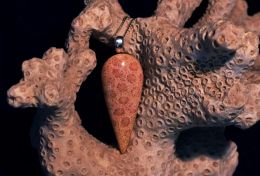 Indonesian Agatized Coral Pendant