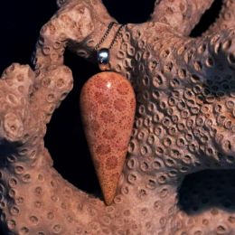 IndonesianAgatizedCoralPendant