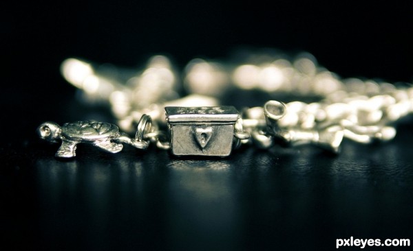 Charm Bracelet.