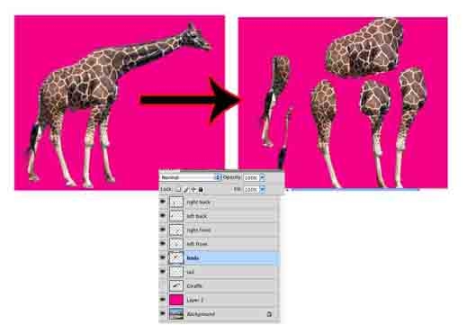 Creation of Giraffe Jump: Step 1