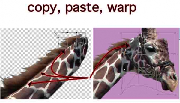 Creation of Giraffe Jump: Step 3