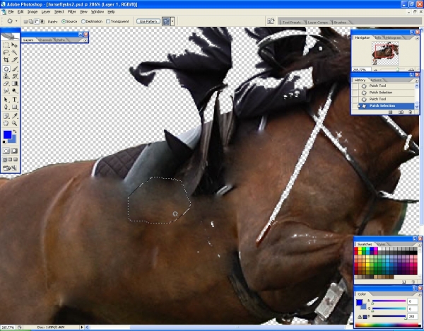Creation of Horsefly: Step 3