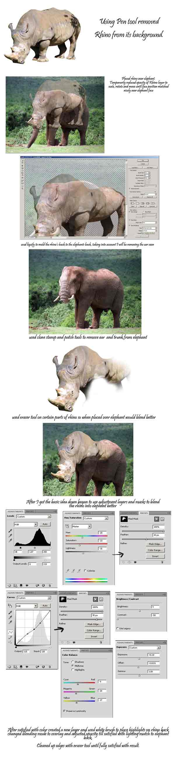 Creation of Elephino: Step 1