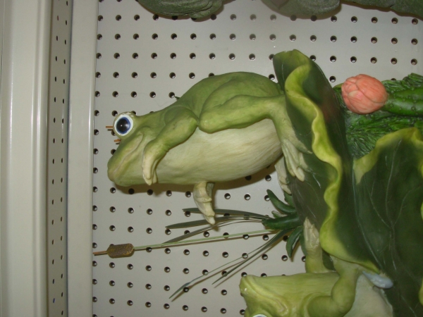 Creation of The Rabbi and the Giant Frog: Step 1