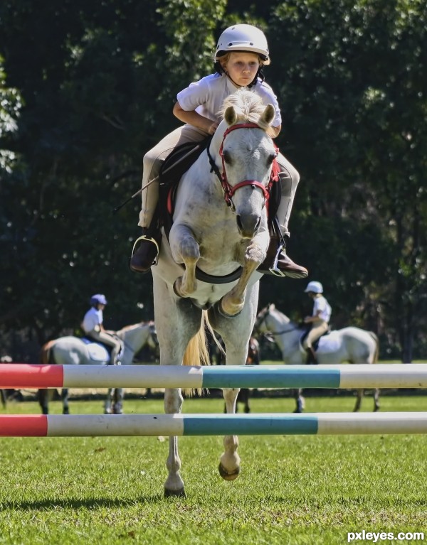 Junior Showjumper