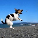 jumping photography contest