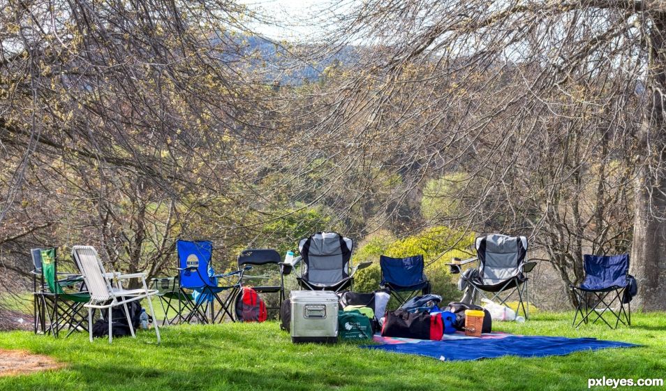 Waiting for a picnic