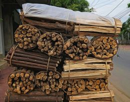 Kindling