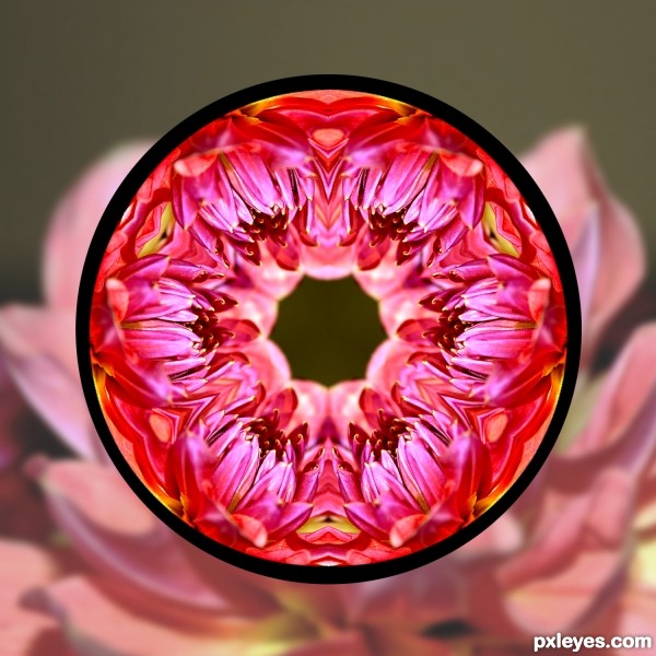 Creation of Flower Kaleidoscope: Final Result