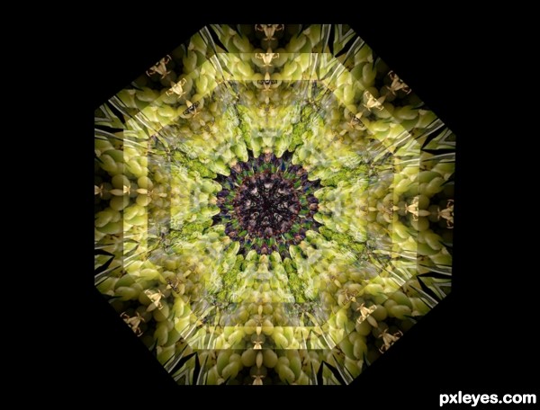 Creation of Kaleidoscopic Grapes: Final Result