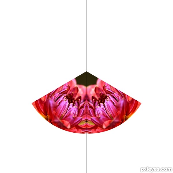Creation of Flower Kaleidoscope: Step 7