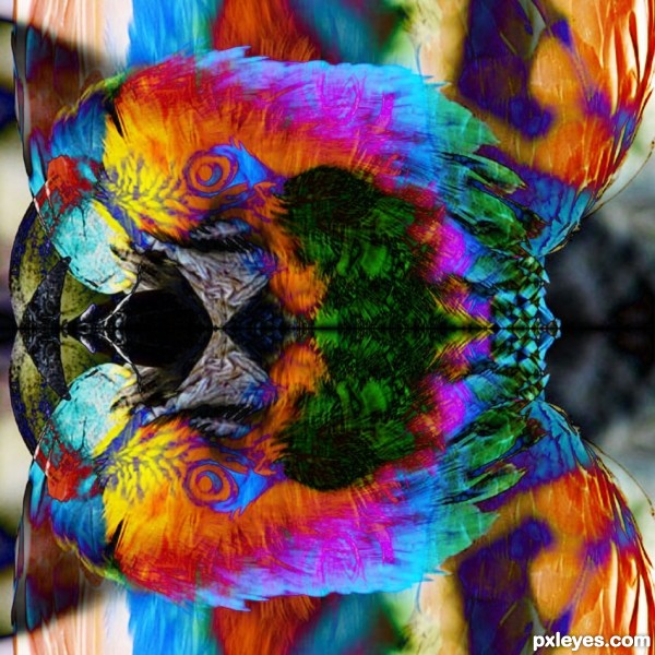 Creation of Kaleidoscolorful: Step 2