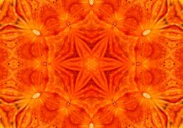 fierypumkin