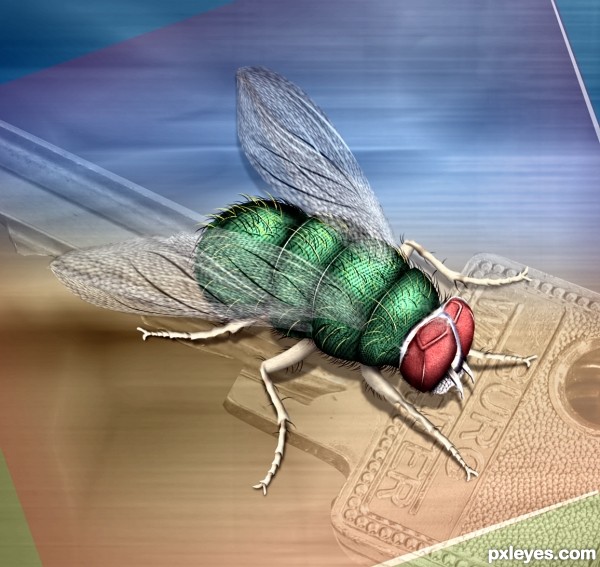 The Green Fly photoshop picture