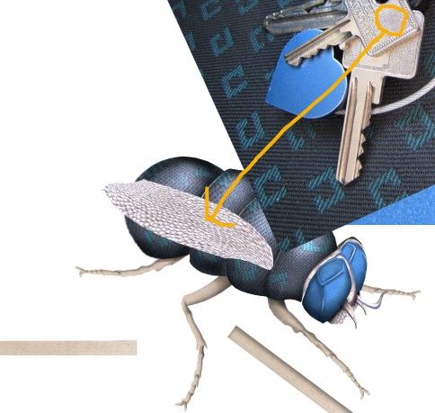 Creation of The Green Fly: Step 5