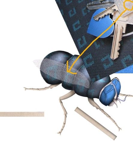 Creation of The Green Fly: Step 6