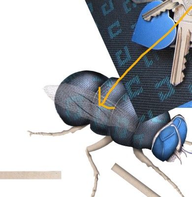 Creation of The Green Fly: Step 7