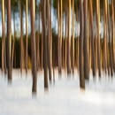 kinetic photography contest
