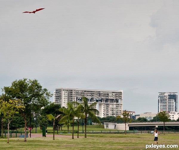 Small girl and kite