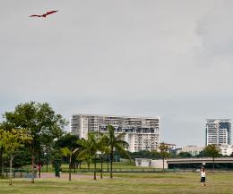 Small girl and kite