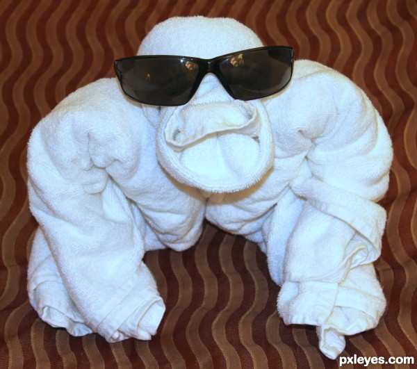 Towel Monkey