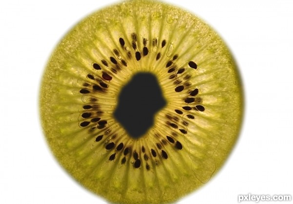 Creation of Human_Eye: Step 1