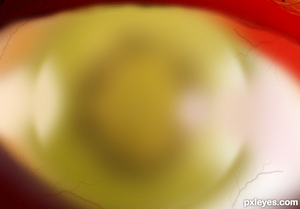 Creation of Human_Eye: Step 13