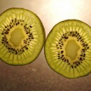 kiwi photoshop contest