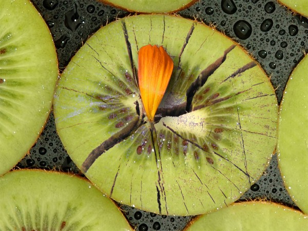 Kiwi trunk