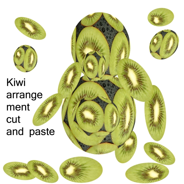 Creation of Soccer Kiwi Elf: Step 1