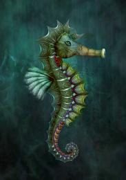 SeaHorse