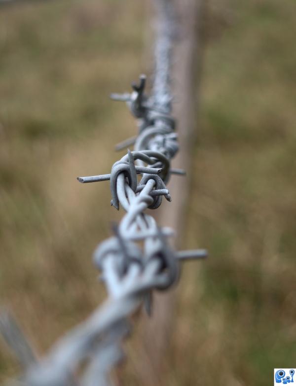The knot of a barbwire