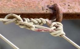 clothes line knot picture, by momvera for: knots photography contest 