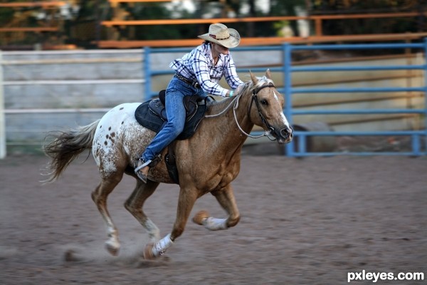 Barrel Racer