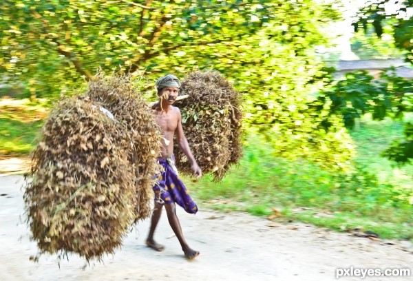 Farmer with crops