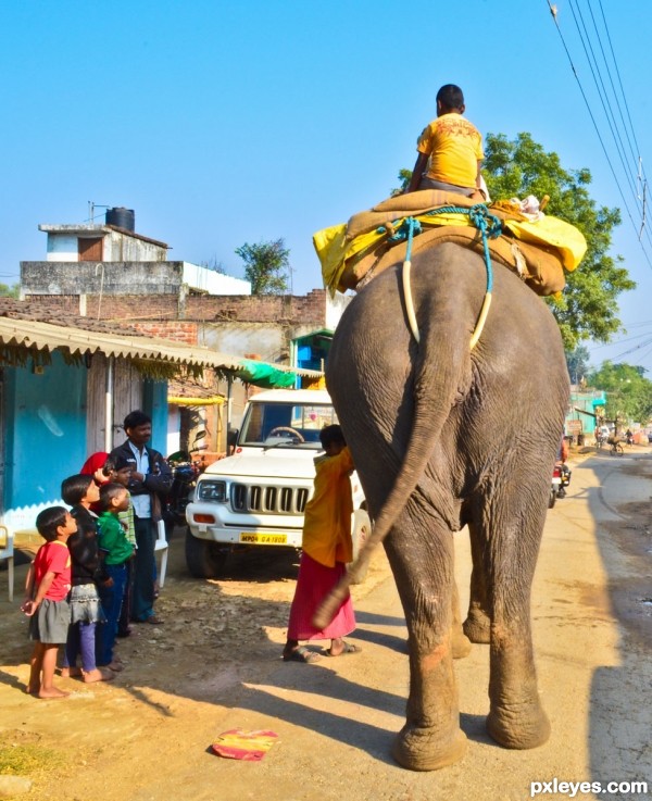 Standing elephant,moving tail