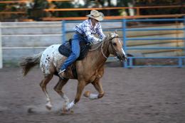 Barrel Racer