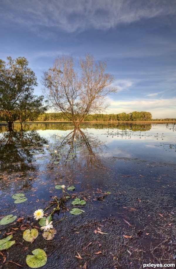 Lagoon